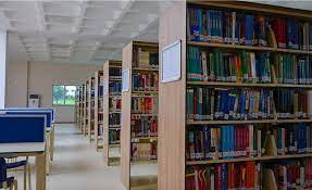 Students studying in the Ashcombe library